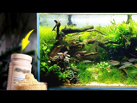 The Secret to Crystal Clear Aquarium Water (How to recharge Purigen)