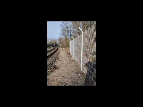 Trauriges Schicksal Schule     Neuhof in Hamburg