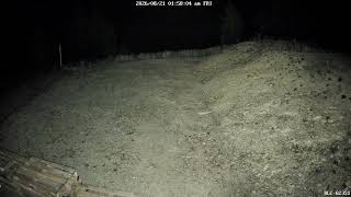 2026-08-21 caprioara