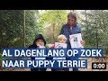 Puppy Terrie al dagenlang spoorloos