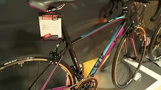 Which Giant Avail Bike/ How much