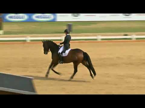 Pferd International 2018