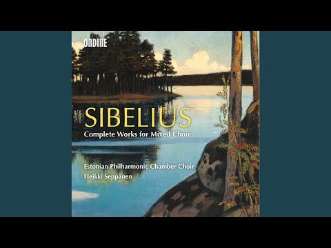 Carminalia, JS 51b: II. Angelus emittitur (An Angel Is Sent Out) (Version with Harmonium)