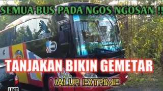 Download lagu PARAH !!! BUS PADA NGOS NGOSAN - HAMPIR GAK KUAT NANJAK DI TANJAKAN SUNAN MURIA mp3