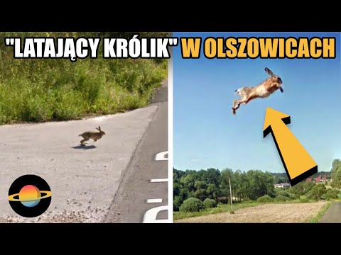10 najdziwniejszych rzeczy, jakie uchwyciło Google Street View w Polsce