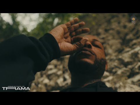 Wildlife Pettodene, VSR - Trama | Official Music Video