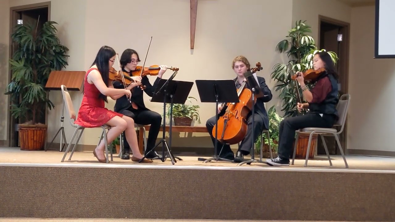 Promotional video thumbnail 1 for Brevard String Academy