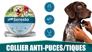 LE MEILLEUR COLLIER ANTI-PUCES & TIQUES POUR CHIEN - Seresto