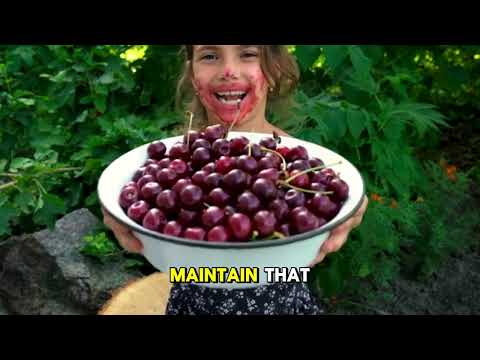 Discover the Secret Health Benefits of Grapes—Your Ultimate Guide!