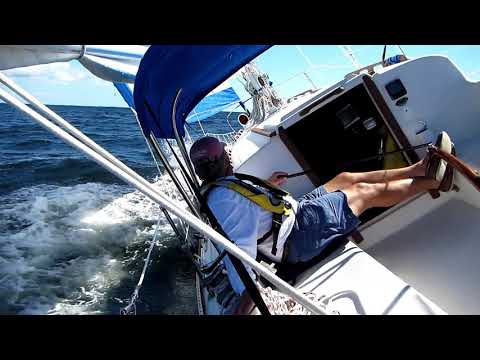 Cast Your Fate to the Wind