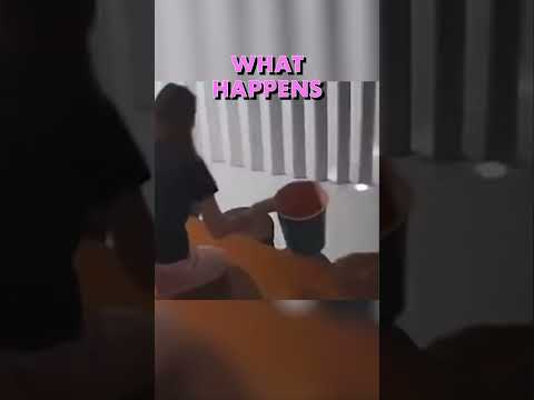 This poor guy was attacked by his own cat. #Shorts