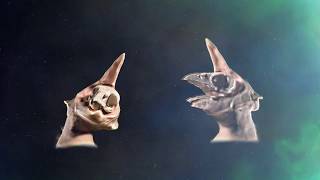 Carbon | short MV by Spencer McCarlie &amp; Newosqie (The University of Edinburgh Version)