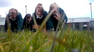 Rock this party Cover