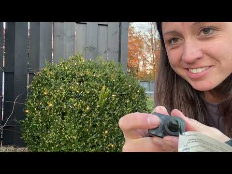 Review of Gdithy 100 LED Christmas Net Lights Outdoor,8 Modes Net Mesh String Lights Waterproof