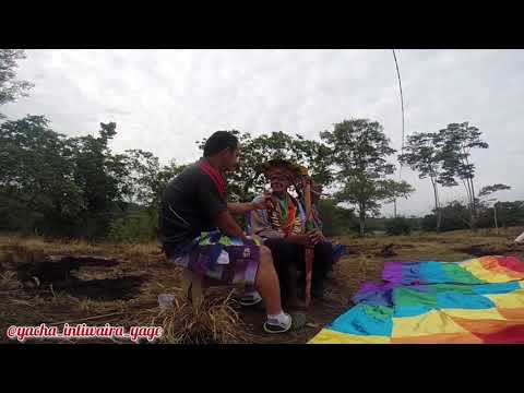 Entrevista con Taita Mayor Querubin Queta. (putumayo)