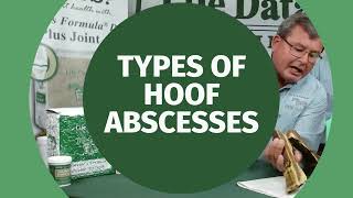Types of Hoof Abscesses