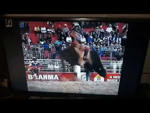 Rinaldo da Silva vs Touro Ranger Barretos 2001
