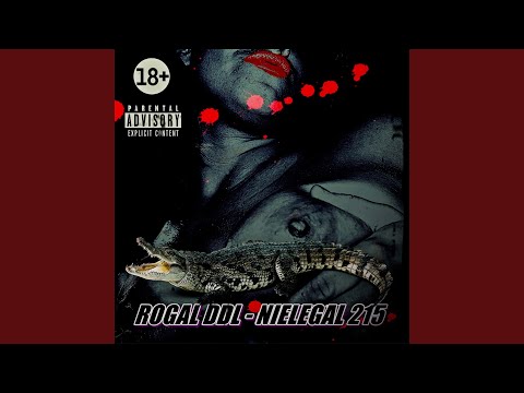 Outro (Nielegal 215)