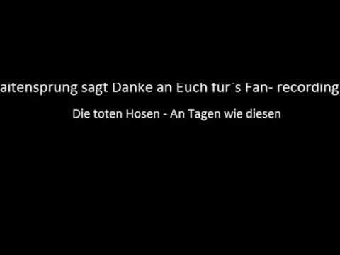 Saitensprung Fan- recording - Die Toten Hosen: Tage wie diese