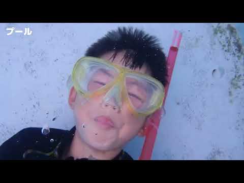 南アフリカのジャングルキャンプ:オミクロンにもかかわらずRTLは引き続き「楽観的」