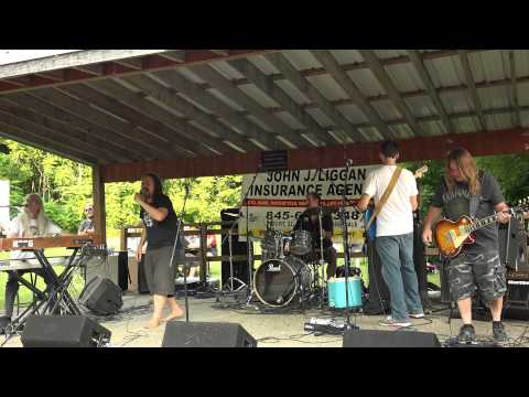 Voodelic - Rosendale Street Festival - July 20, 2014