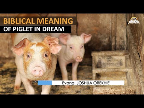 Biblical Meaning of Piglets in Dreams - Symbolism and Interpretation