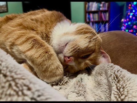 Episode 3068 ChattingWSA 01/10/26