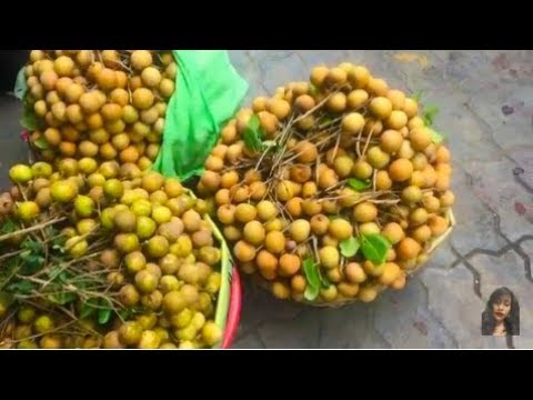 Walk Around Wet Market In Asia - Street Food In Cambodian Market - Phnom Penh