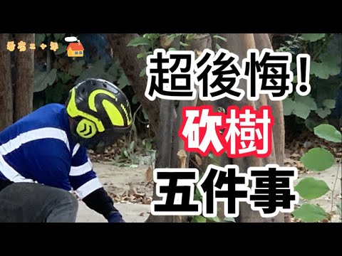 砍樹要看日子嗎