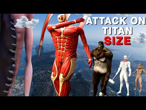 Attack on titan size Comparison | aot size comparison |Animation