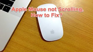 How to fix Apple mouse scroll issue on MacBook!