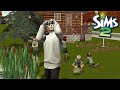 Let's Play The Sims 2 | Pleasantview S02E17 | Benjamin Day