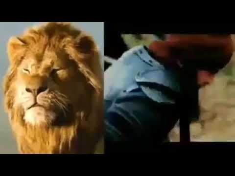 Lions Roar | Ertugrul Gazi | Dirilis Ertugrul |