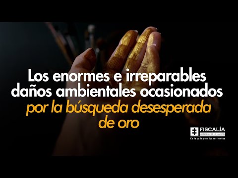 Enormes e irreparables daños ambientales por la búsqueda desesperada de oro