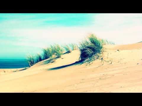 Pastel Winds - VLDC8 ~ Moose