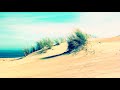 Pastel Winds VLDC8 Moose