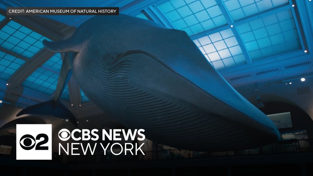Natural History Museum announces return of 