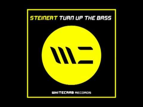 Steinert - Turn Up The Bass (Dutch House Mix)