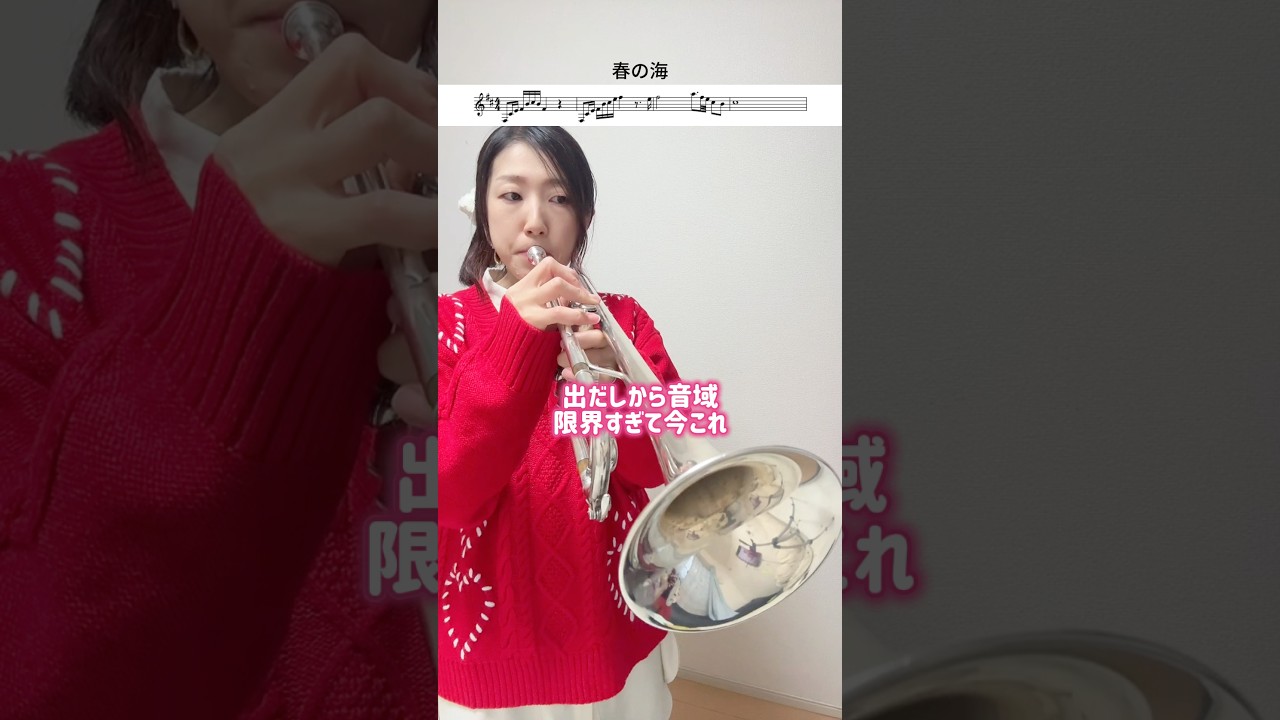 お正月のやつ🎺吹いてみた