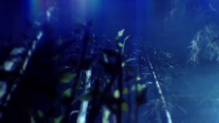 [Bo3　生放送］でこぼこコンビがゾンビに挑む