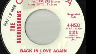 Back In Love Again The Buckinghams