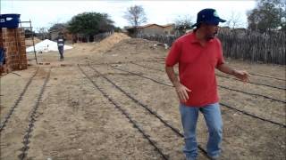 Implantação de sistema de irrigação por gotejamento