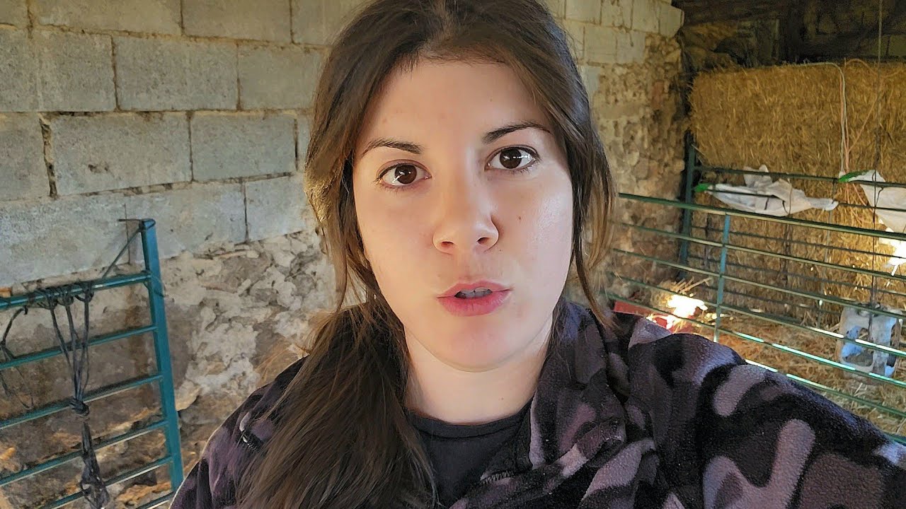 Nos quieren meter gato por liebre, menuda vista hay que tener