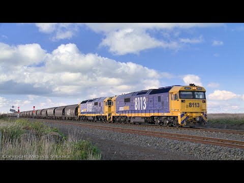 7733V Pacific National Grain Train (20/6/2020) - PoathTV Australian Railways