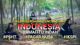 Download lagu DAMAI ITU INDAH SRIKANDI PENCAK SILAT INDONESIA. SALAM BERSAMA. PAGAR NUSA, IKSPI ,PSHT mp3 Download lagu DAMAI ITU INDAH SRIKANDI PENCAK SILAT INDONESIA. SALAM BERSAMA. PAGAR NUSA, IKSPI ,PSHT mp3