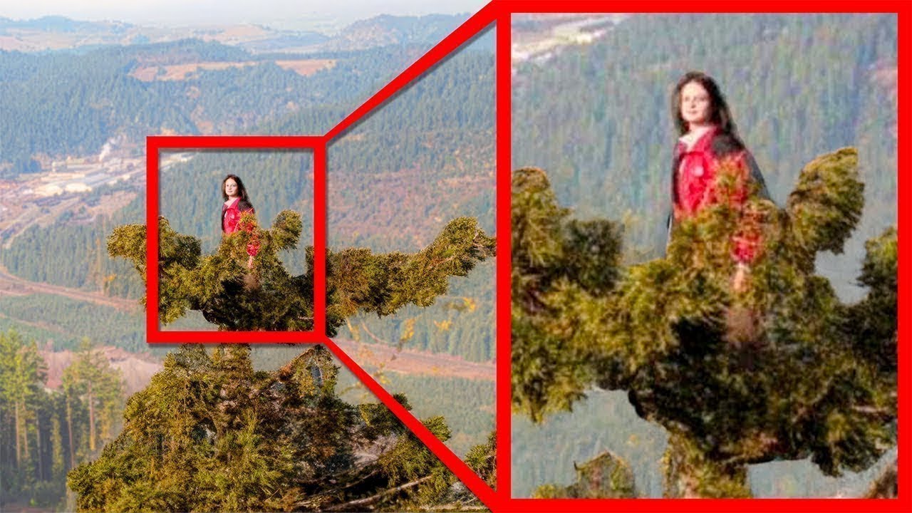 Ela Viveu Em Uma Árvore Por 738 Dias – A Incrível História De Julia Butterfly Hill