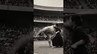 sumo vs