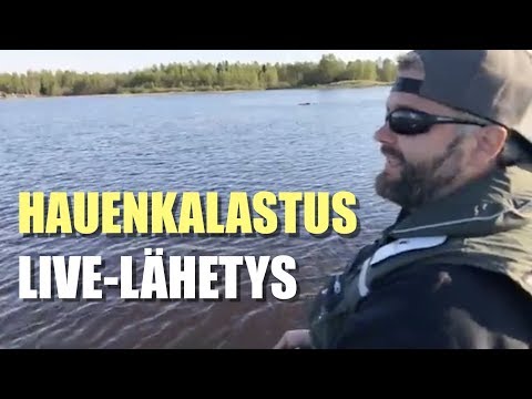 Eumer Fishing - Hauenkalastus - LIVE - Kevät haukea matalasta - Spintube