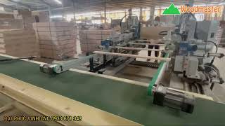 Giải pháp băng tải nối chuyền máy cắt khoan 2 đầu và máy tubi