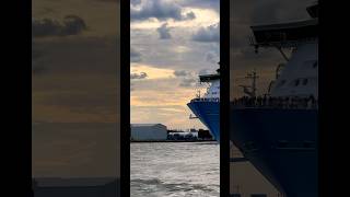 Freedom of the Seas 🛳️#like #share #comment #subscribe #cruiseship #cruise #vacation #shorts #short